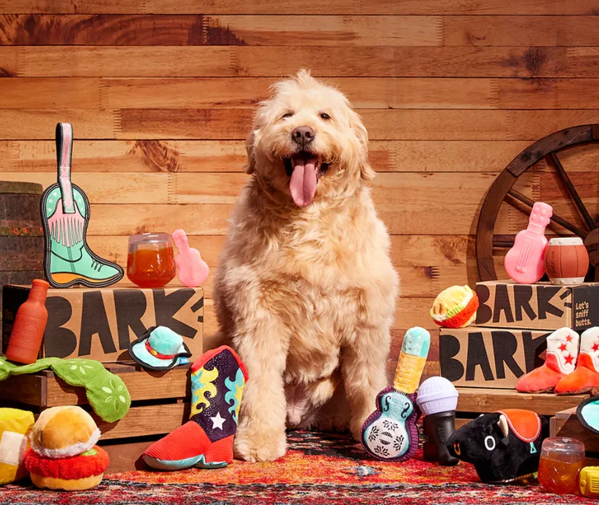 宠物经济爆发!BarkBox如何抓住盲盒热潮,成为宠物界网红品牌?