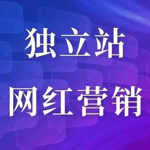 运营干货丨独立站如何携手海外网红营销，实现飞跃？