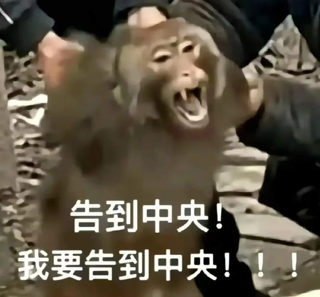 亚马逊大面积误判!上万条listing受限