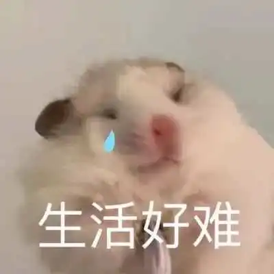 亚马逊春促悄无声息的结束了?一首凉凉送给自己!