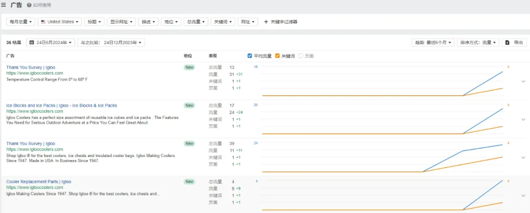 独立站优秀案例分析：冷藏箱品牌如何通过创新保持竞争力？