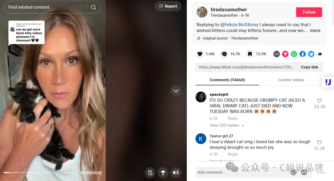 Tiktok美区时尚穿搭达人,单条视频带货Tarte cosmetics眼影刷2000+个,却不一定可以给你带货: