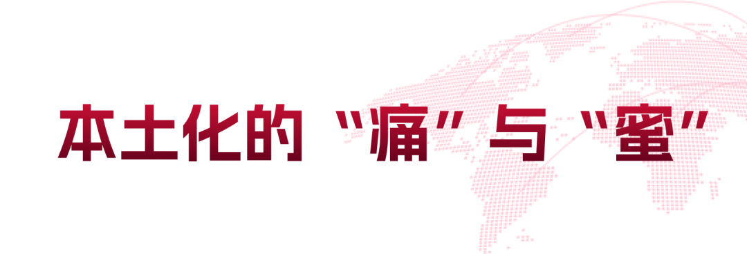 跨境出海2024：“深卷”之下，需攻克本土化之“术”