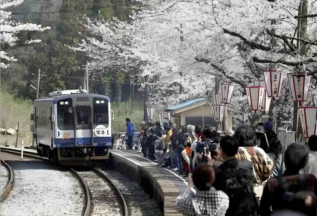 日元又双叒暴跌，日本站卖家何去何从？