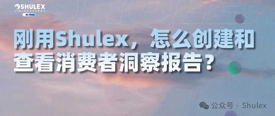 刚用Shulex，该怎么创建和查看消费者洞察报告？