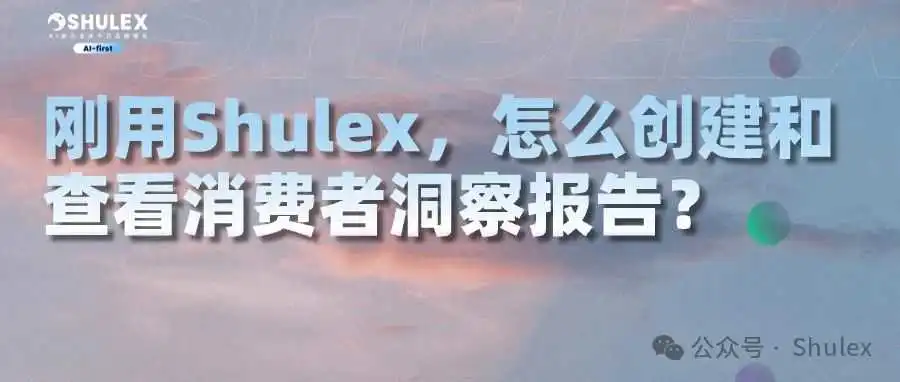 刚用Shulex,该怎么创建和查看消费者洞察报告?