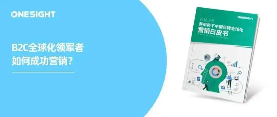 透视B2C全球化领军品牌：SHEIN、大疆、石头的成功营销基因