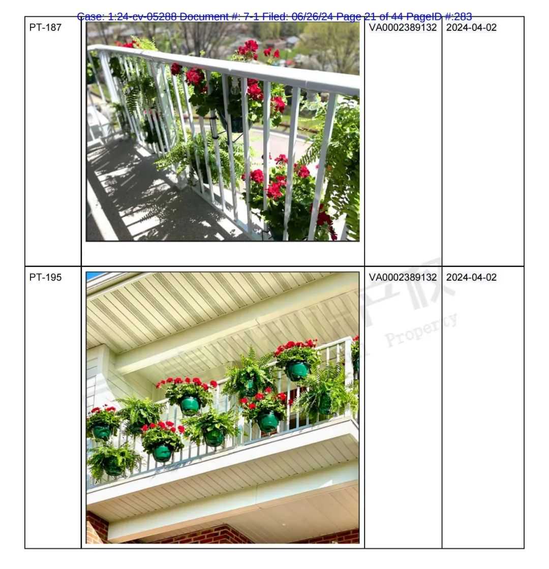 数百名卖家被TRO！狗狗牙刷和园艺铁架发起版权、商标、专利的全方位维权！