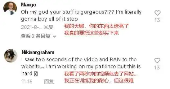 年收入超百万美金,年轻女卖家靠高颜值产品TikTok发家