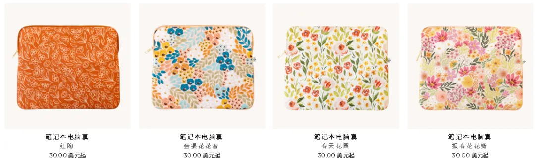 年收入超百万美金,年轻女卖家靠高颜值产品TikTok发家