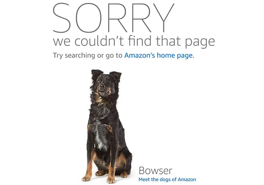 SORRY we couldn't find that page