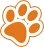 从细分到全能！Spark Paws以斗牛犬服饰为起点，狂揽千万美金