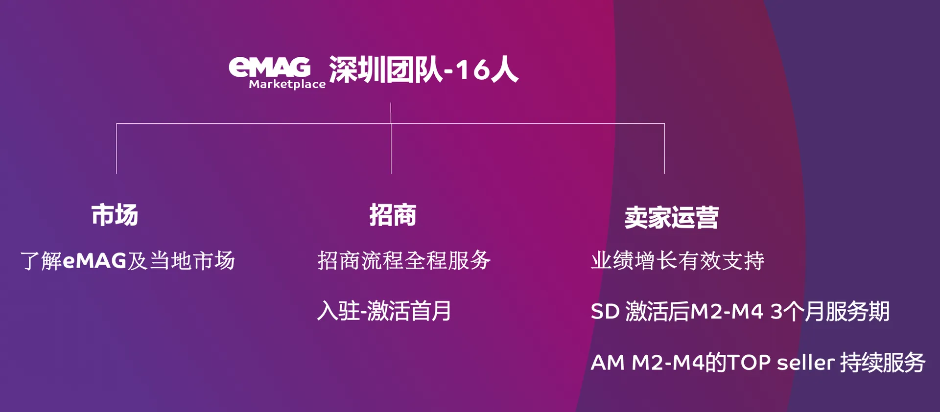 跑步进入东南欧,eMAG本土化团队带来的变革