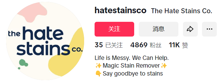 打败市面上所有清洁用品的The Hate Stains：月销52万美金！