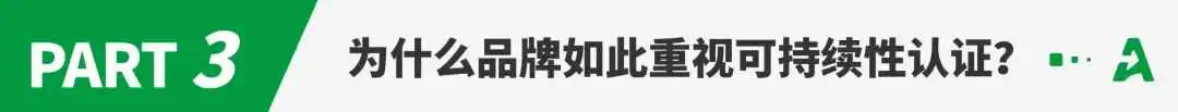 曝！又一跨境黑马获数千万融资！