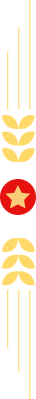 凝心聚智，务实笃行 | 百运科技战略转型动员大会圆满召开！