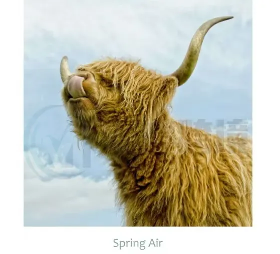 警惕！这些重复起诉的摄影版权图千万别再用了！卖家注意排查！