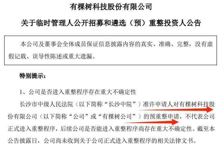 还是没熬过来！125万还不上，有棵树濒临破产