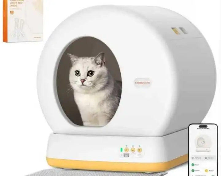 TikTok宠物“洗剪吹”生意火了，市值有望达3500亿美元！
