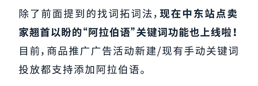 亚马逊实操案例:掌握关键词“秘钥”,小成本撬动流量与销量!