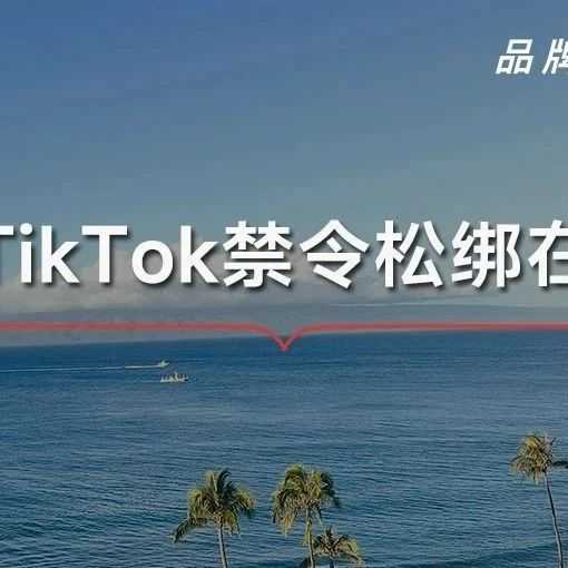 “不卖就禁”法案倒计时：TikTok能否逆风翻盘？