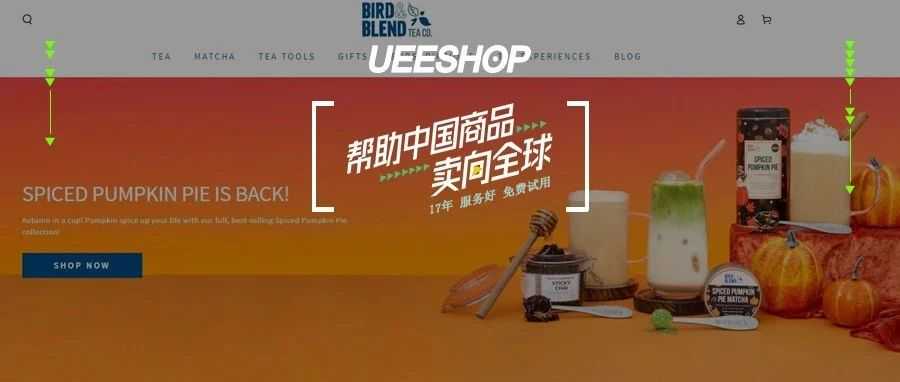 独立站优秀案例分析：茶品牌如何通过创新口味吸引年轻消费者？