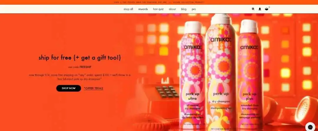 独立站优秀案例分析:洗发水品牌如何迎合年轻消费者需求?