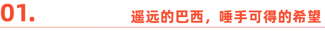 在巴西赚了5个亿，他们只想闷声发大财