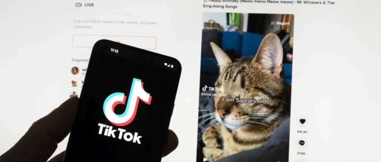 TikTok Marketplace Monitor｜September, 2024