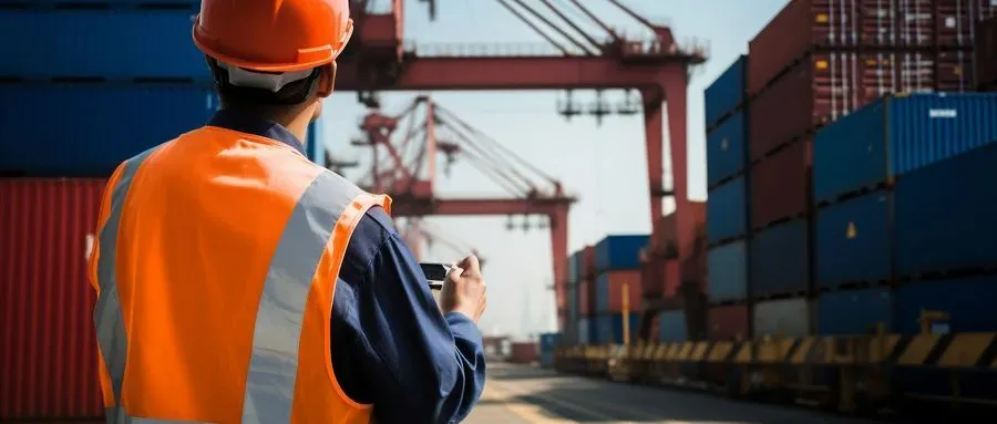 海运收费大起底，别再当“韭菜”被割了！