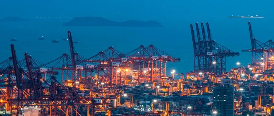 海运收费大起底，别再当“韭菜”被割了！