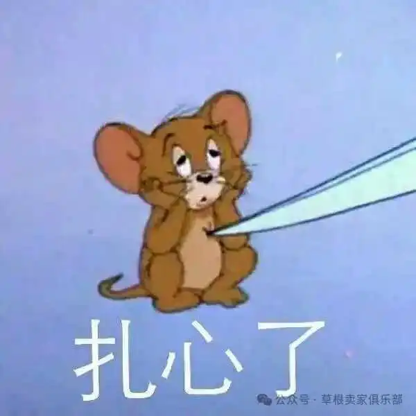 突发！亚马逊类目被修改，佣金暴涨！如何破解？