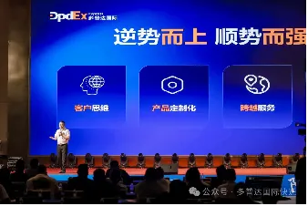跨境品牌发展之道：强化物流与品牌安全，独立站与多平台布局助力腾飞！