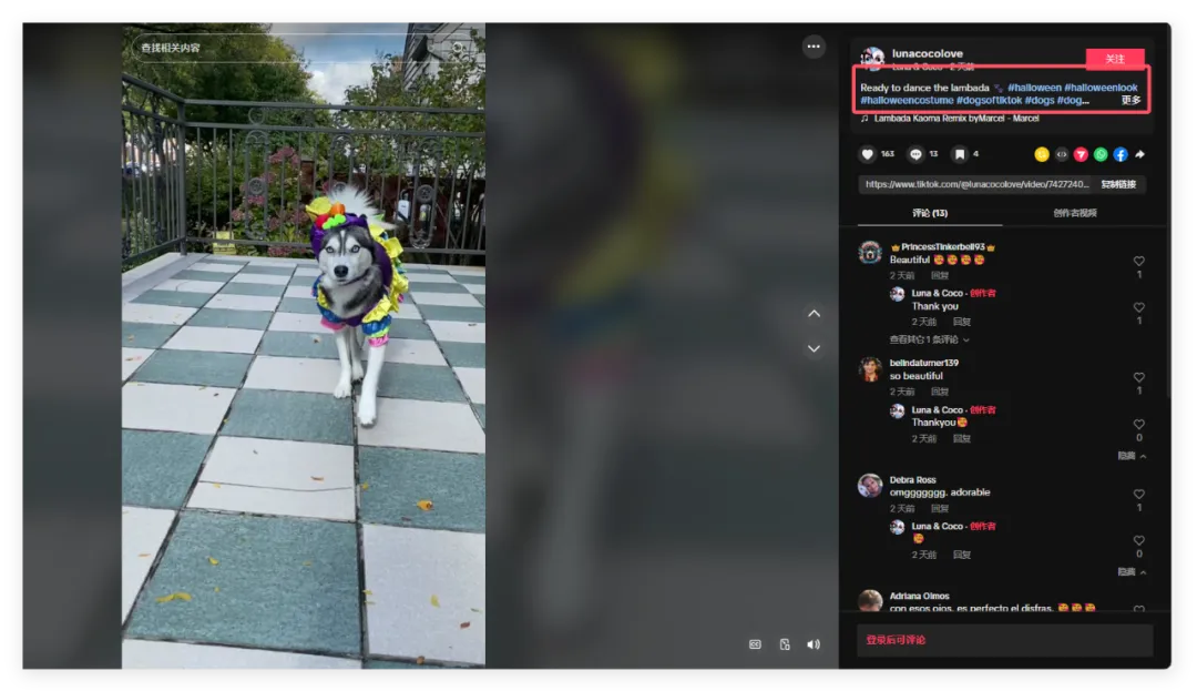 万圣节倒计时开始!节日海外网红营销怎么做?