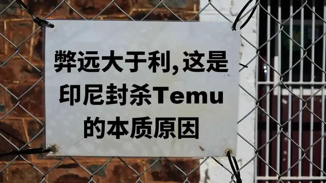 继TikTok后,TEMU在印尼再吃“闭门羹”!砍一刀能否依靠“联姻”逆风翻盘?