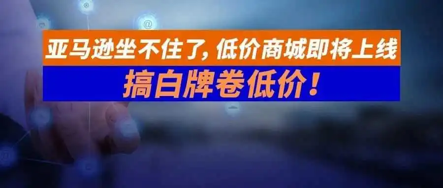 亚马逊坐不住了，低价商城即将上线，搞白牌卷低价！