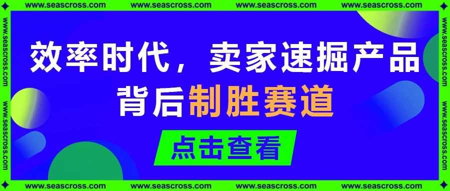 效率时代·先机之战：卖家速掘产品背后的制胜赛道