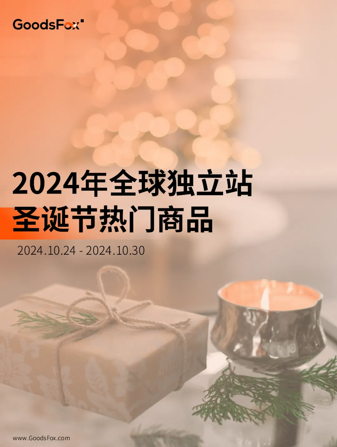 独立站圣诞商品观察:除了定制类,教育产品也是大热门!