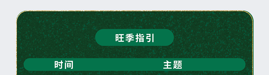 黑五网一自动广告捡漏打法！ $0.21低竞价拿下672单