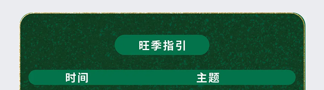 黑五网一自动广告捡漏打法! $0.21低竞价拿下672单