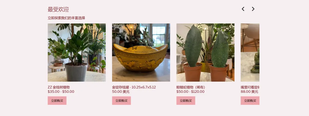 风水植物一夜爆火，玄学的风还是吹到了TikTok