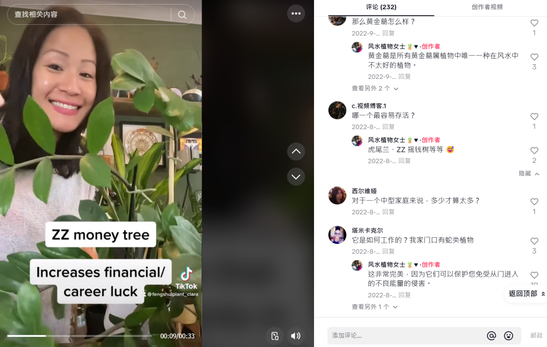 风水植物一夜爆火，玄学的风还是吹到了TikTok