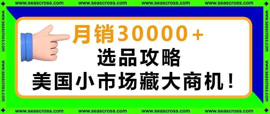 剖析美国纪念文化市场，中小卖家月销30000+选品攻略大揭秘！