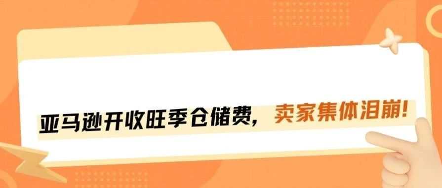 亚马逊旺季仓储费超级加倍！余额变负...