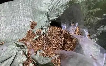 菲律宾查仓突袭重点区域,两仓库被封!缴获19.4亿“走私品”!
