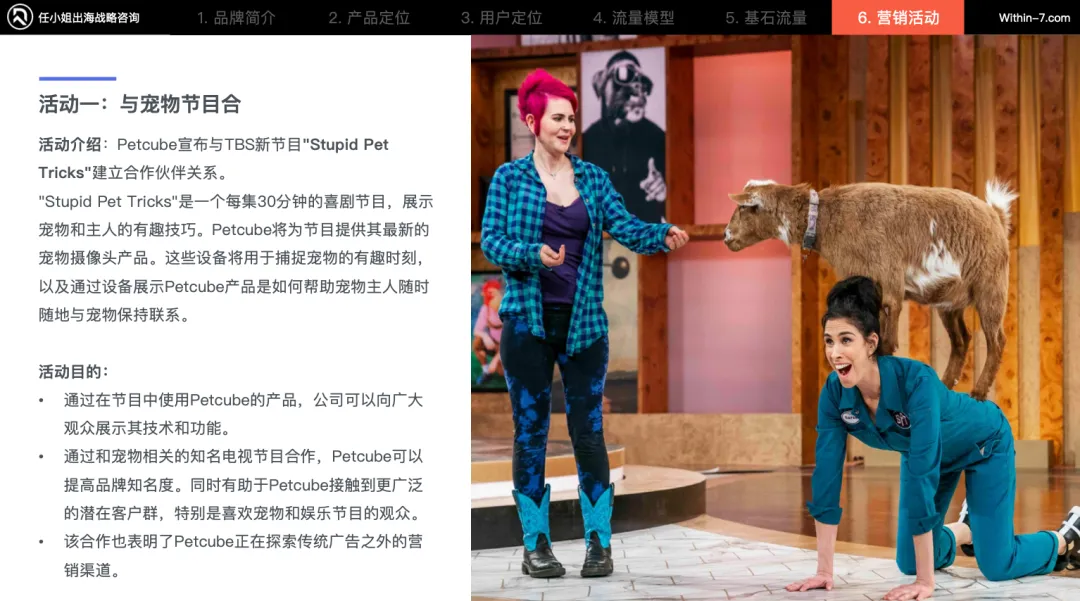 宠物细分赛道产品卖贵反而更好?宠物产品的"婴儿化"趋势|任小姐案例周评会