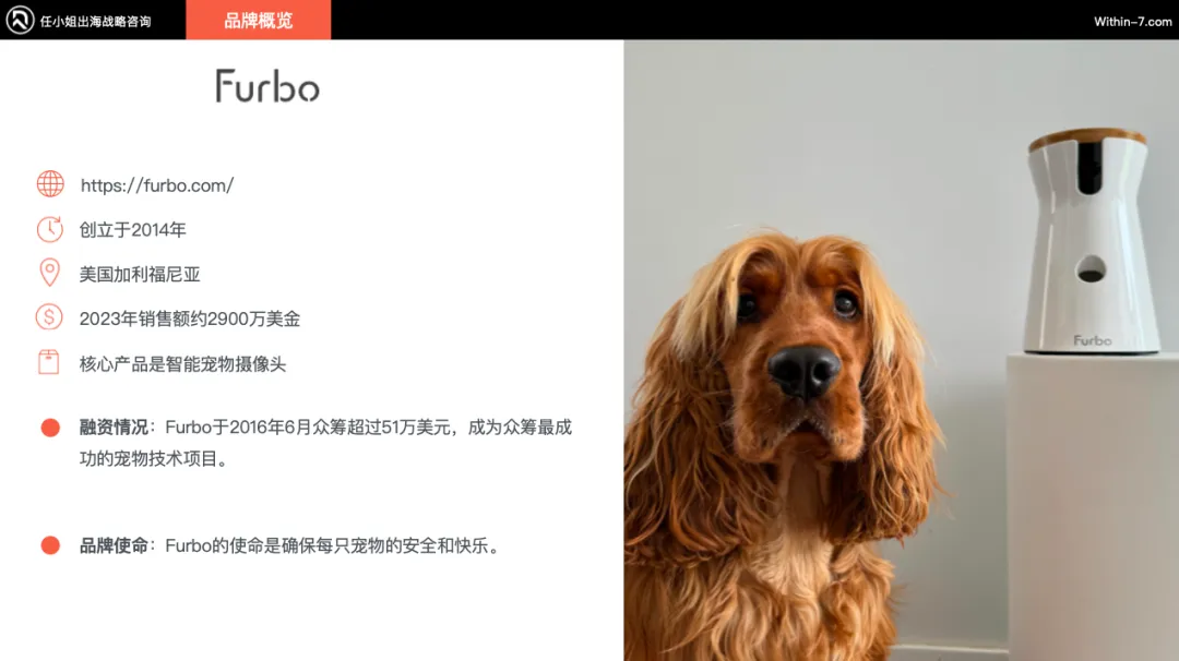 宠物细分赛道产品卖贵反而更好?宠物产品的"婴儿化"趋势|任小姐案例周评会