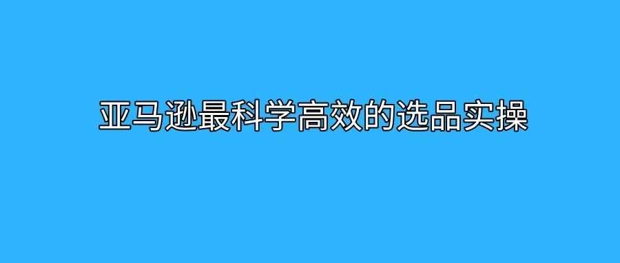 亚马逊资料-亚马逊最科学高效的选品实操