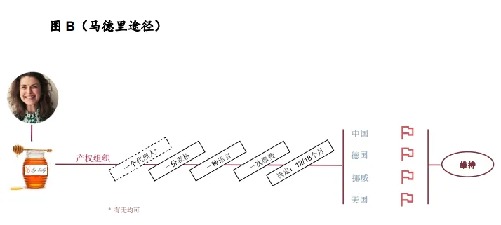 跨境电商要注册国际商标,一定需要了解的《马德里体系》
