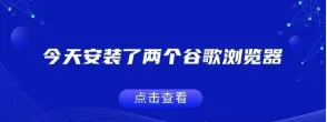 今天安装了两个谷歌浏览器